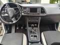 SEAT Ateca Ateca 1,6 Reference TDI Reference Weiß - thumbnail 5