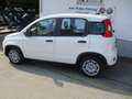 Fiat Panda Pandina 1.0 Hybrid, City Paket, Klima, ESP, ZVmFFB Weiß - thumbnail 4