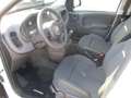 Fiat Panda Pandina 1.0 Hybrid, City Paket, Klima, ESP, ZVmFFB Weiß - thumbnail 6