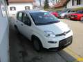 Fiat Panda Pandina 1.0 Hybrid, City Paket, Klima, ESP, ZVmFFB Weiß - thumbnail 3