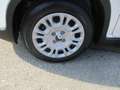 Fiat Panda Pandina 1.0 Hybrid, City Paket, Klima, ESP, ZVmFFB Weiß - thumbnail 5