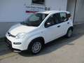 Fiat Panda Pandina 1.0 Hybrid, City Paket, Klima, ESP, ZVmFFB Weiß - thumbnail 1