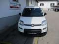 Fiat Panda Pandina 1.0 Hybrid, City Paket, Klima, ESP, ZVmFFB Weiß - thumbnail 2