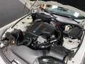 BMW Z4 20i Sdrive M Sport 184Cv Navi-Pelle-Bixeno-19"M Wit - thumbnail 48