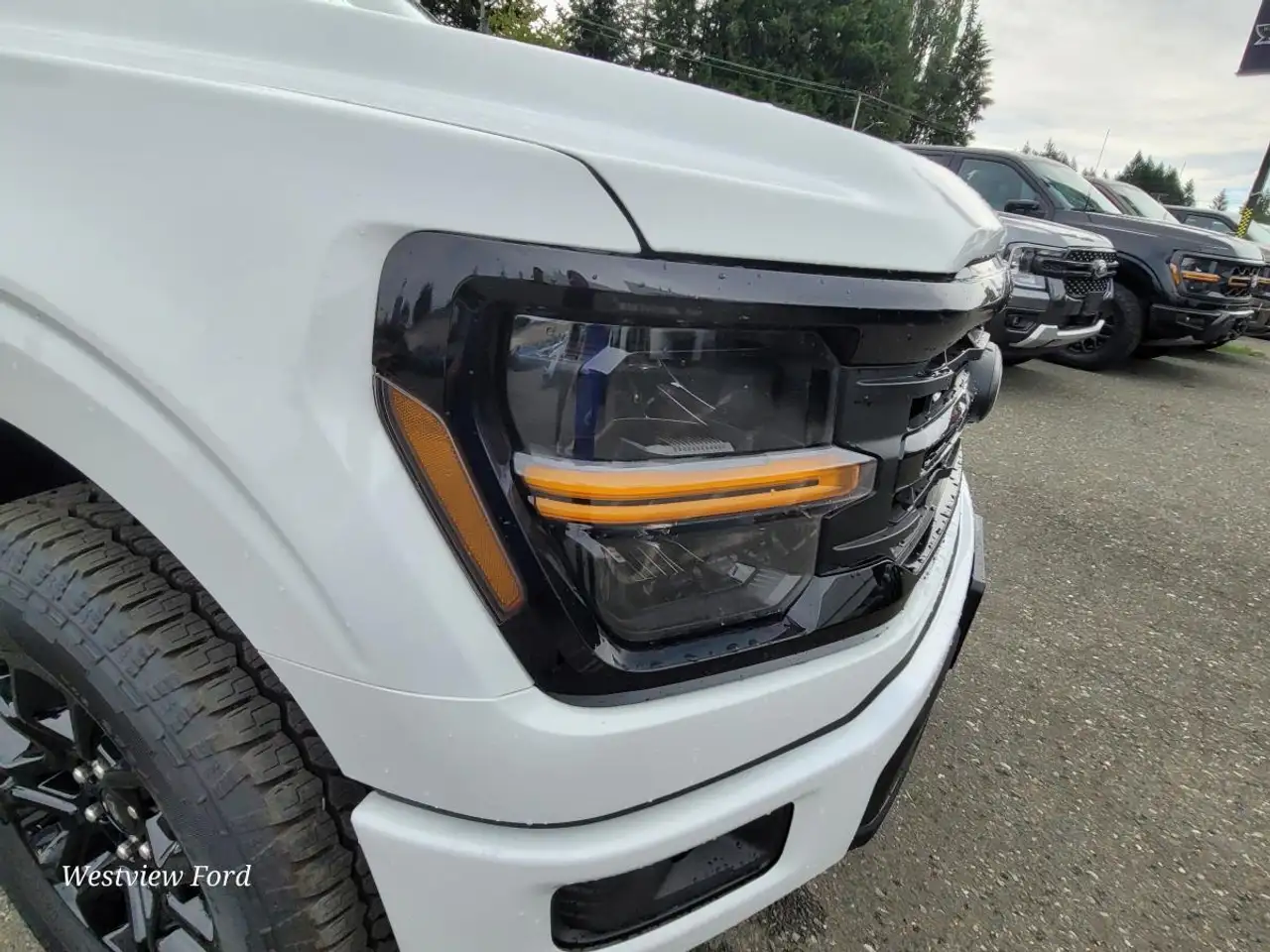 Ford F 150 photo Ford F 150