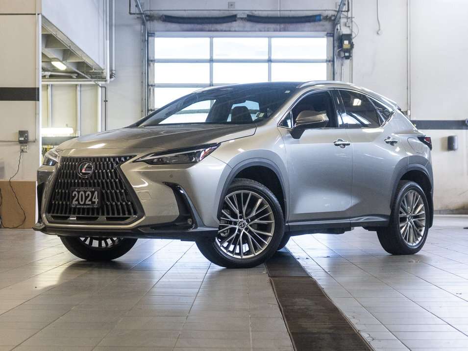 2024 Lexus NX Luxury