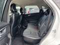 Ford Edge 2,0 DTCI 4x4AWD PowerShift Titanium Automatik Weiß - thumbnail 28