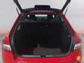 Skoda Octavia 1.6 TDI CR 110cv DSG CR Ambition Rojo - thumbnail 23