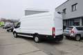 Ford Transit Transit Kasten 2,0 EcoBlue L4H3 350 Trend Weiß - thumbnail 14