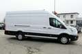 Ford Transit Transit Kasten 2,0 EcoBlue L4H3 350 Trend Weiß - thumbnail 4