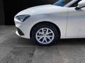 SEAT Leon 1.5 TSI 96kW S&S Style Blanco - thumbnail 9
