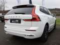 Volvo XC60 T6 Recharge Inscription Expression AWD Weiß - thumbnail 2