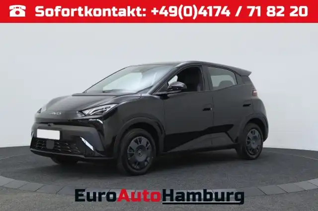 BYD Autres 30 kWh / Navi / ACC / PDC H + Kamera / Klimaautoma