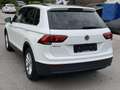 Volkswagen Tiguan 1.5 TSI ACT Life. DSG AUTOMATIK *1.HAND *RFK *NAVI Weiß - thumbnail 7