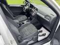 Volkswagen Tiguan 1.5 TSI ACT Life. DSG AUTOMATIK *1.HAND *RFK *NAVI Weiß - thumbnail 11