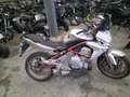Kawasaki - thumbnail 3