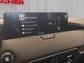 Mazda CX-60 3.3L e-SKYACTIV D AWD HOMURA Aut. Grau - thumbnail 14