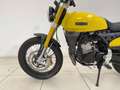 Fantic Caballero 500 Scrambler Galben - thumbnail 13