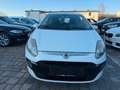 Fiat Punto Evo MyLife Weiß - thumbnail 3