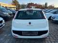 Fiat Punto Evo MyLife Weiß - thumbnail 8