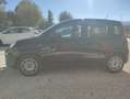 Fiat Panda Panda III 1.0 firefly hybrid s Noir - thumbnail 5