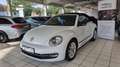 Volkswagen Beetle Cabriolet Club BMT-Navi-PDC-Euro6 Weiß - thumbnail 1