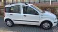 Fiat Panda 1.2 Emotion 69cv E5 - thumbnail 2