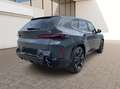 BMW XM SoftClose AHK M-Sport KeyLess Bel.Sitz PDC Gris - thumbnail 3