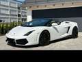 Lamborghini Gallardo Gallardo LP560-4 Spyder E-Gear Blanc - thumbnail 1