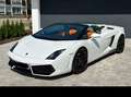 Lamborghini Gallardo Gallardo LP560-4 Spyder E-Gear Blanc - thumbnail 2