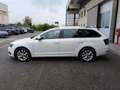 Skoda Octavia 1.6 TDI SCR 115 CV Wagon Executive Bianco - thumbnail 6