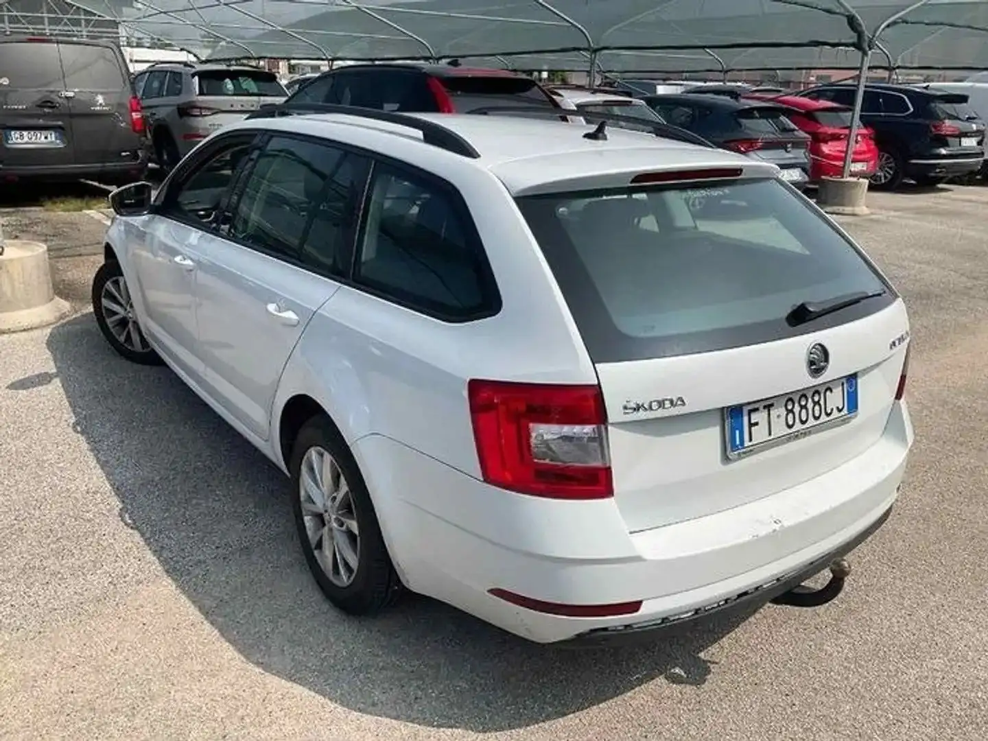 Skoda Octavia Wagon 2.0tdi 150cv Executive dsg - FT888CJ Bianco - 2