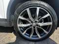 Sportequipe Sportequipe 6 l 149cv cvt Blanc - thumbnail 9