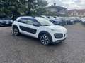 Citroen C4 Cactus BlueHDi 100 S&S ETG6 Ciesse Piumini*NEOPATENTATI Argent - thumbnail 3