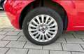 Fiat Punto Evo 1.2 8V Active *Tüv Neu*Top Gepflegt* Rot - thumbnail 6