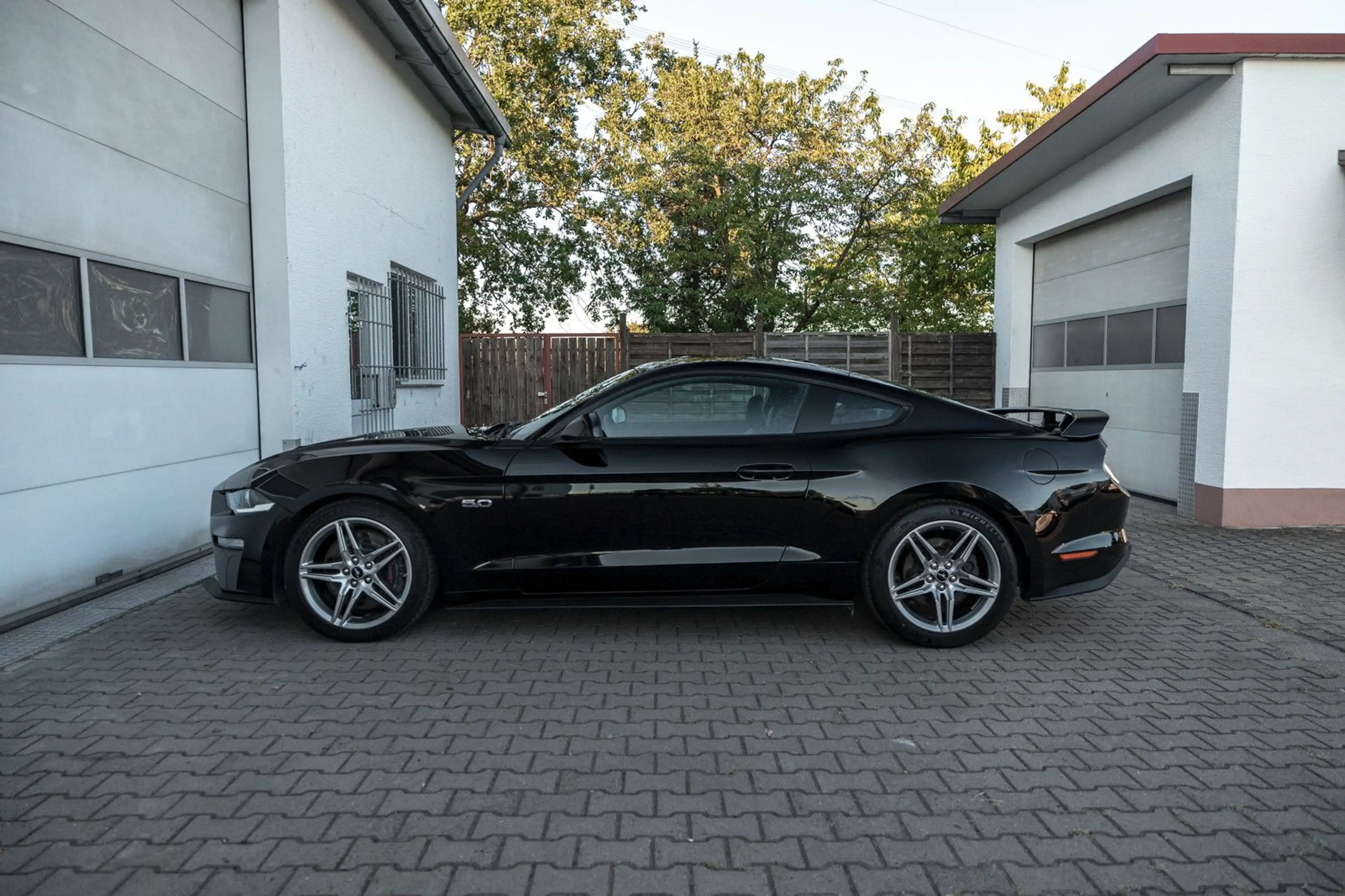 Ford Mustang GT Fastback PERFORMANCE+PREMIUM — photo 3