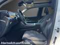 Mercedes-Benz GLC 300 GLC 300 de 4Matic Avantgarde+Pano+AHK+Digital-Light+ Alb - thumbnail 13