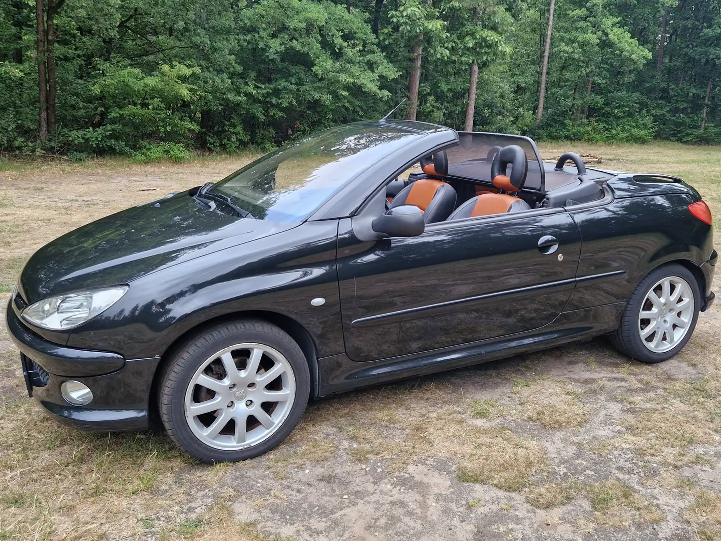 Peugeot 206 206CC 2.0-16V apk 07/26 Zwart - 1