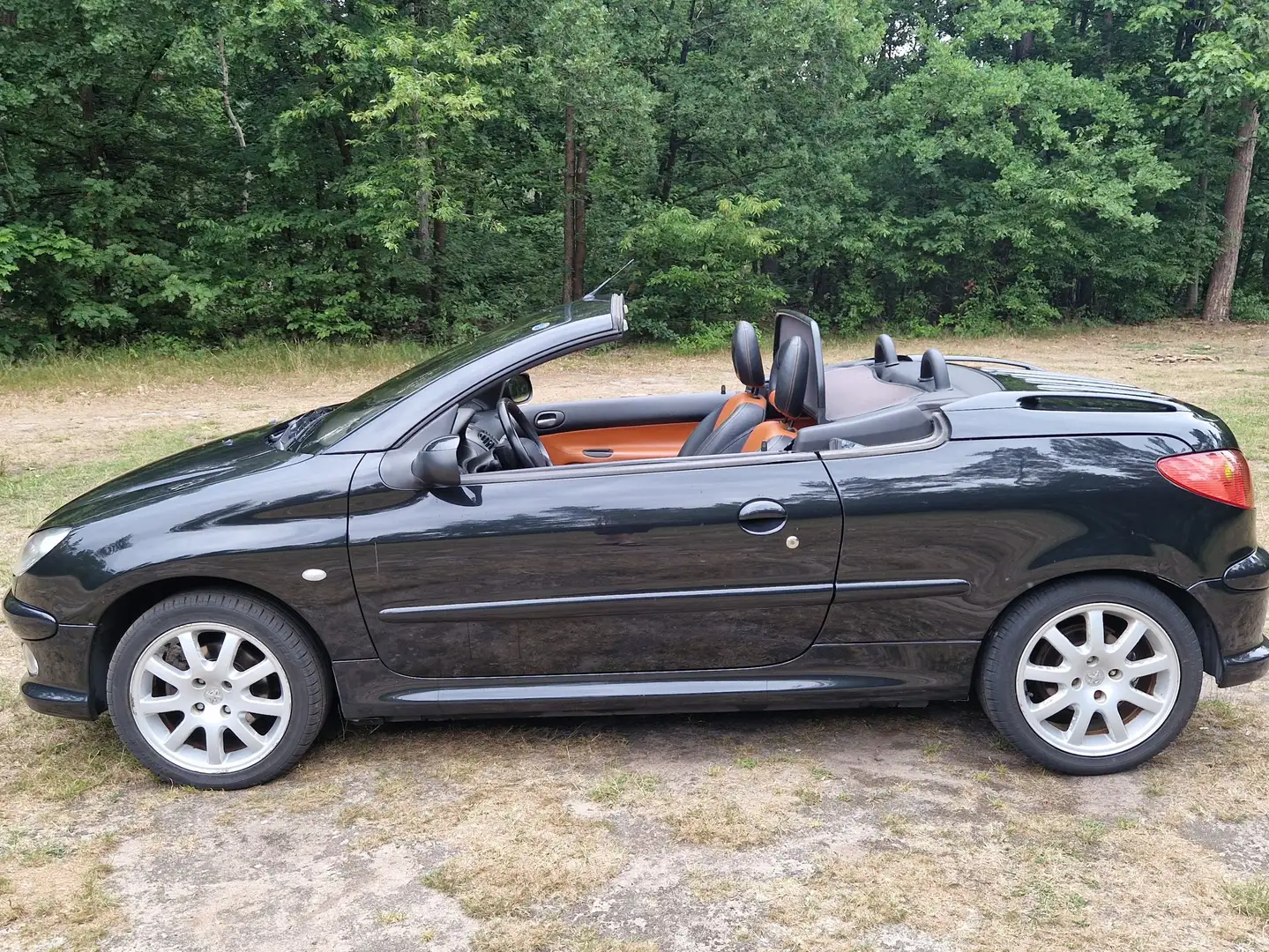 Peugeot 206 206CC 2.0-16V apk 07/26 Zwart - 2