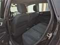 Ford Fiesta 1.25 Titanium / Dealeronderhouden / Voorruitverwar - thumbnail 20