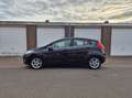 Ford Fiesta 1.25 Titanium / Dealeronderhouden / Voorruitverwar - thumbnail 17