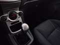 Ford Fiesta 1.25 Titanium / Dealeronderhouden / Voorruitverwar - thumbnail 19