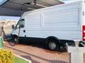 Iveco Massif iveco daily Blanc - thumbnail 8