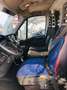 Iveco Massif iveco daily Weiß - thumbnail 4