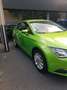 SEAT Leon Leon ST 1.6 TDI Start Grün - thumbnail 2
