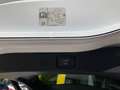 Ford Galaxy Titanium 2,0EcoBlue AWD Weiß - thumbnail 24