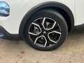 Citroen E-C4 Electric Feel Pack 50 kWh Climate | Cruise | Carplay/Androi bijela - thumbnail 7
