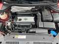 Volkswagen Tiguan Track ,Automatik, 4 Motion, 1 Hand Rojo - thumbnail 13