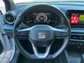 SEAT Arona 1.0 ecotsi Xperience 110cv dsg FARO DX GUASTO Bianco - thumbnail 12