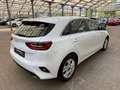 Kia Ceed / cee'd Ceed 1.5 T-GDI Vision  Navi|Kamera|CarPlay Alb - thumbnail 5